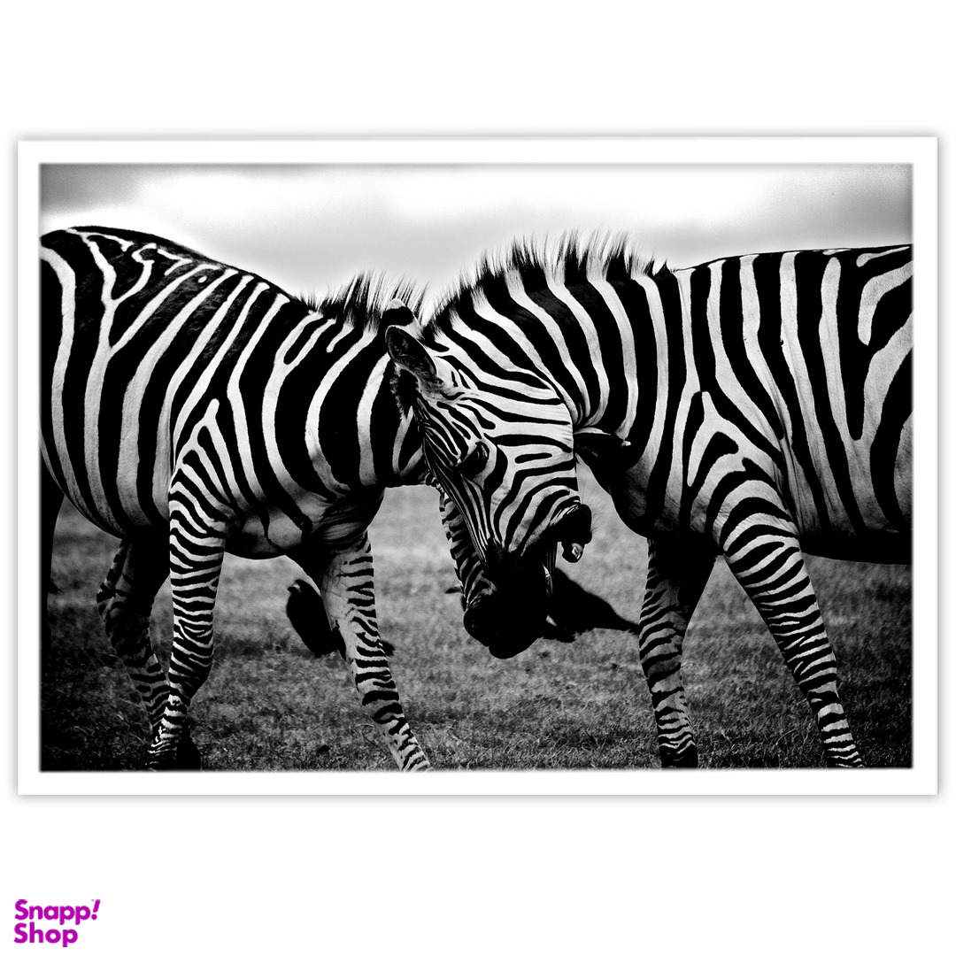 تابلو بکلیت طرح حیات وحش گورخر مدل W-10287