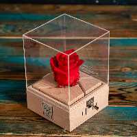 رز جاودان موزیکال هندلی  rossag موزیک romeo-juliet 