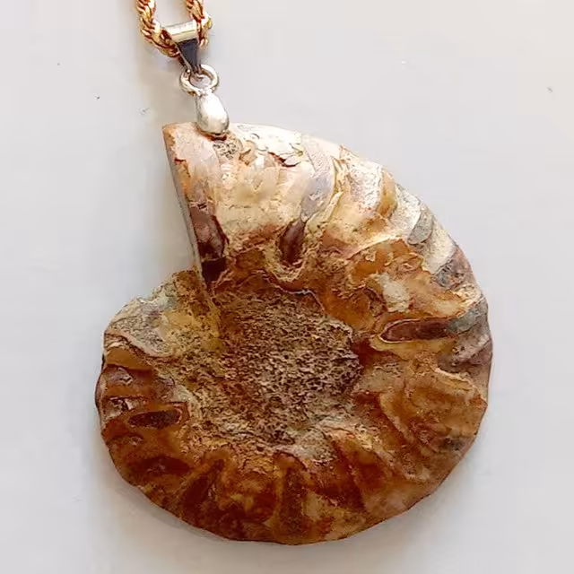 آویز فسیل آمونیت 15 گرمی