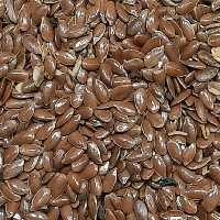 تخم کتان یا بذر کتان یا بذرک سرخ 100 گرمی عطاری دستانی 