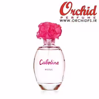 GRES Cabotine Rose