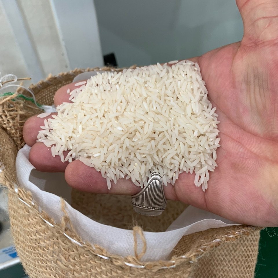 برنج طارم هاشمی
