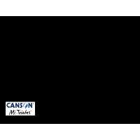 مقوا پاستل Mi-Teintes کانسون کد 425 ابعاد 65 در 50