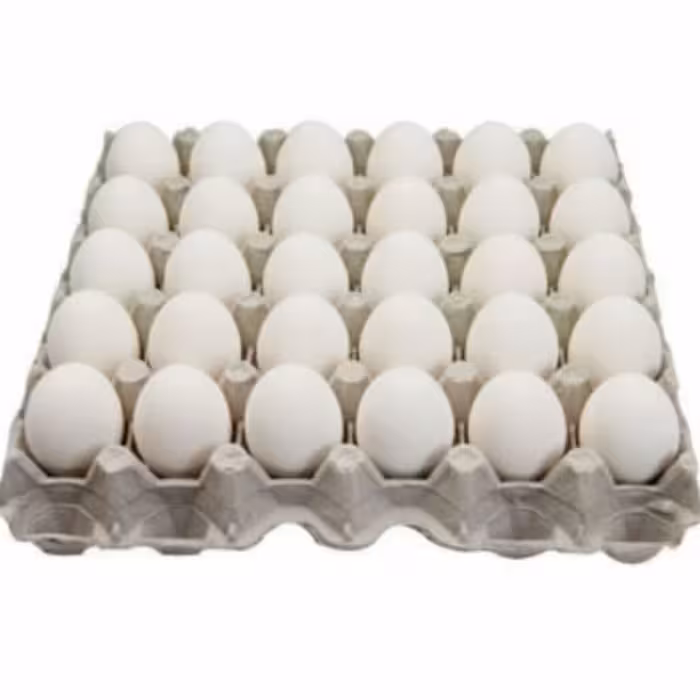 تخم مرغ ماشینی سی عددی (یک شانه) بارفروش