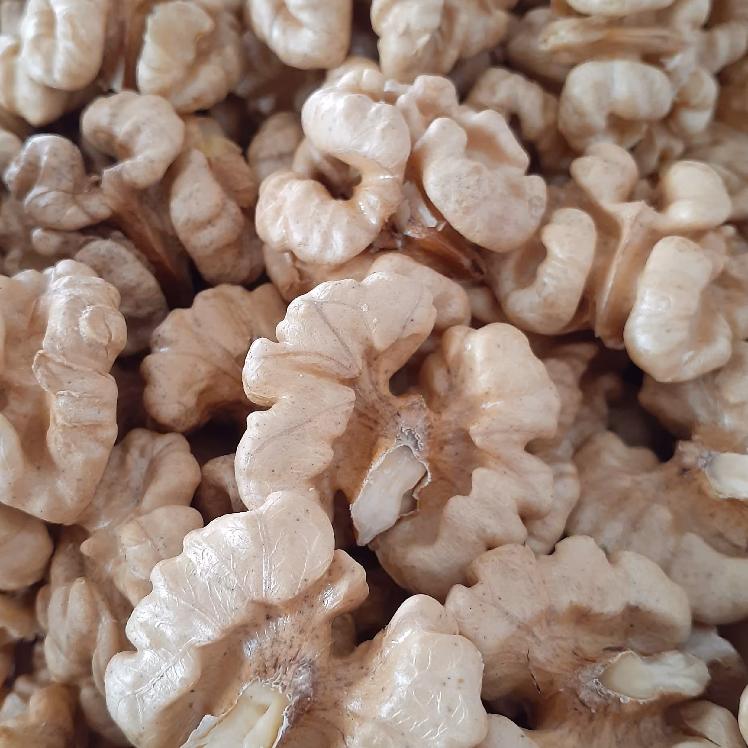 خشکبارنازگل   مغزگردودرجه یک (1000)گرمی