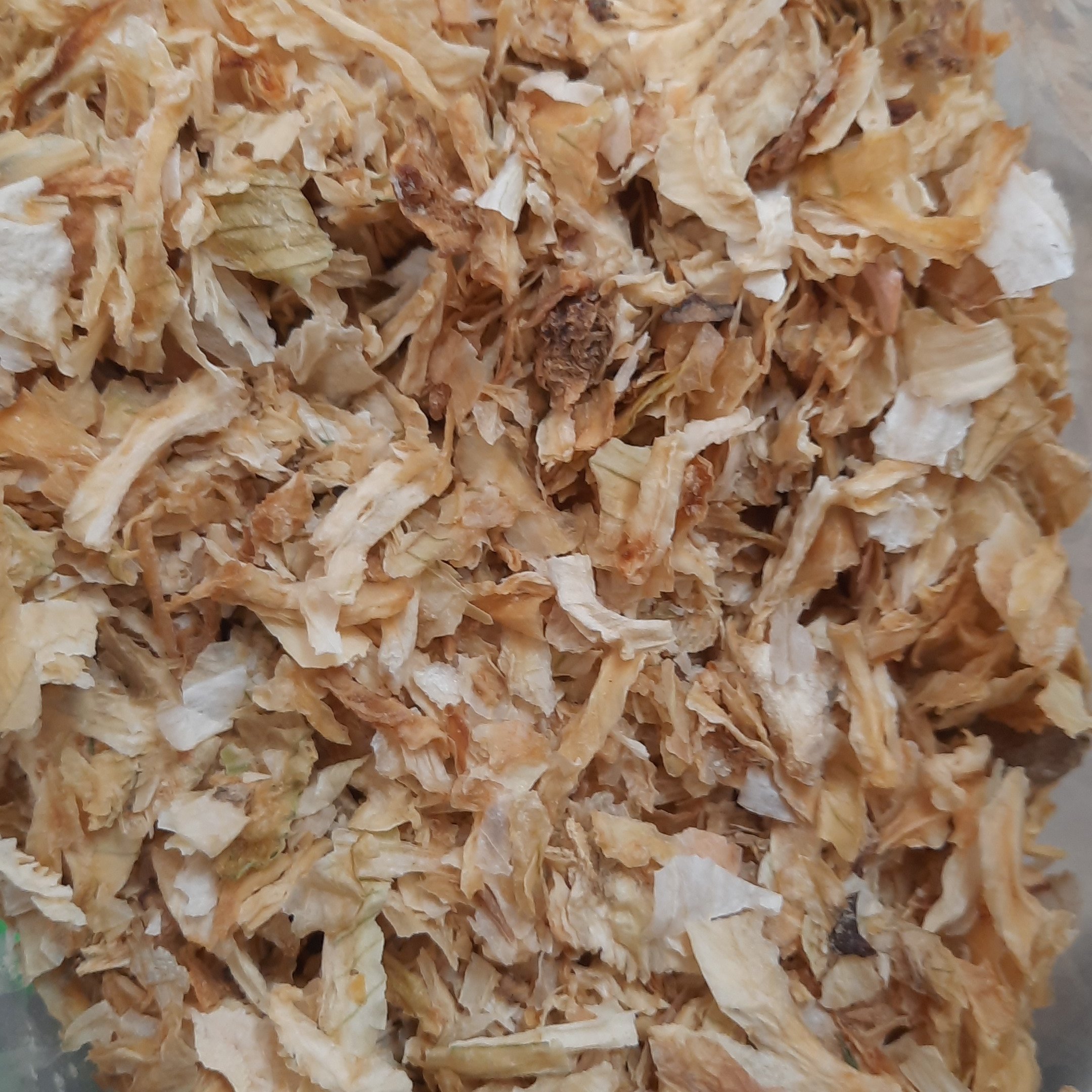  پیاز خشک زرد اسیابی 10 کیلویی آسا عمده بدون ارسال رایگان 09130304435