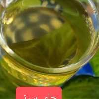 چای سبزقلم یک کیلوییتولید خرداد 1402