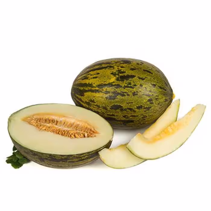 بذر خربزه هامیی 10 عددی