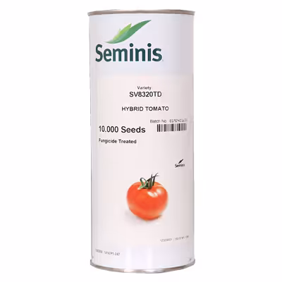 بذر گوجه فرنگی هیبرید 8320 (قوطی) سمینیس