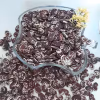 لوبیا عروس خوشپخت امسالی (4.5کیلو گرم)