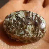 نگین عقیق منظره محششر بسیار زیبااا و چشم نواز کاملا طبیعی سایز درررشت مدالی شاهکار خلقت 