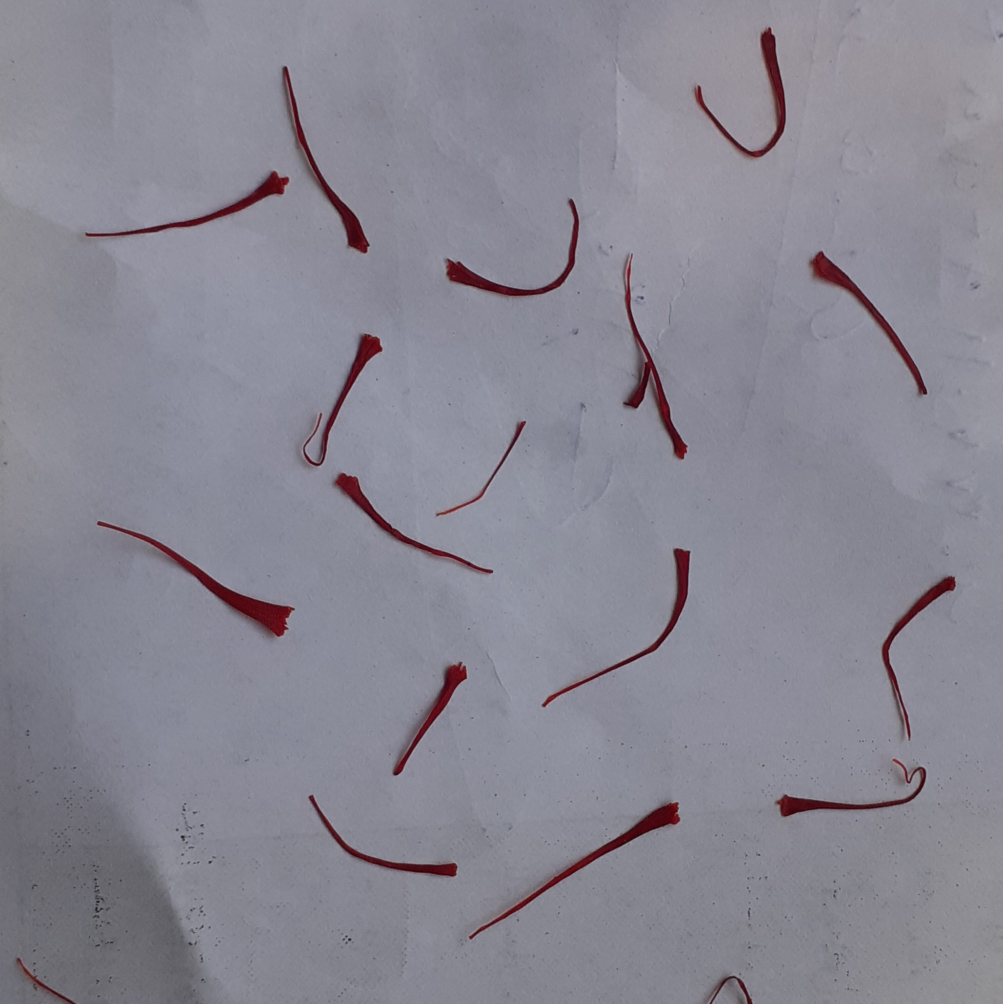 زعفران نگین طبیعی خشک