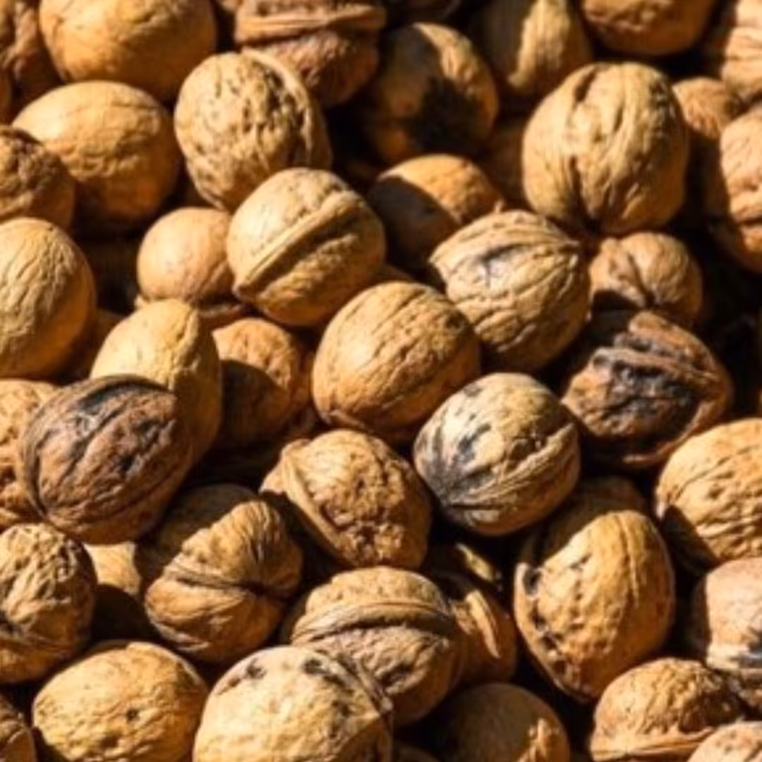 گردو درجه 1(4 کیلوگرم)