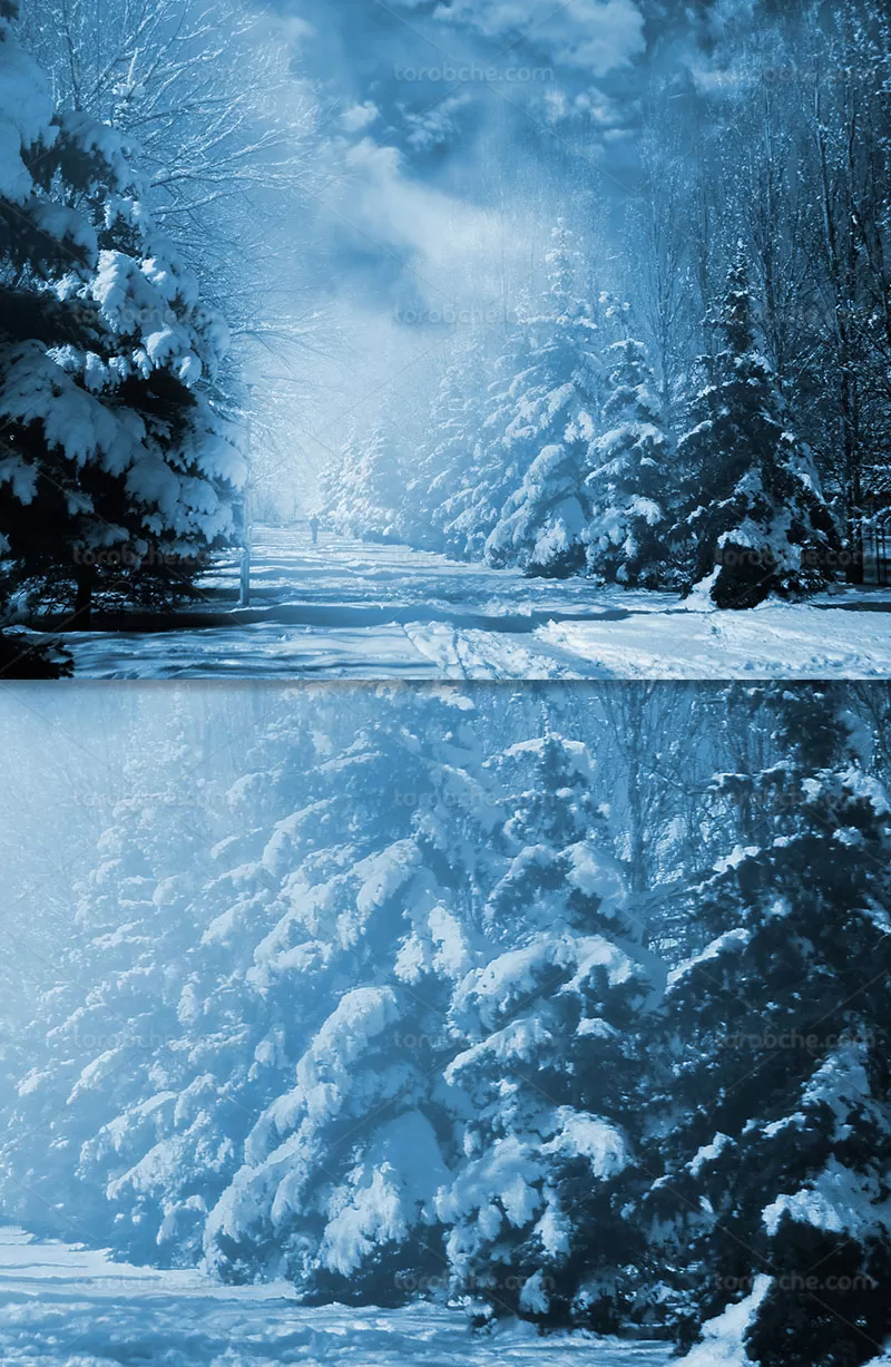 عکس منظره زمستانی زیبا | گرافیک با طعم تربچه