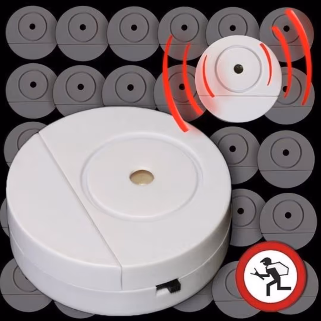 دزدگیر  خانه