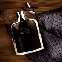 عطر  جگوار بلک (Classic Black) در حجم 20 میلی لیتر