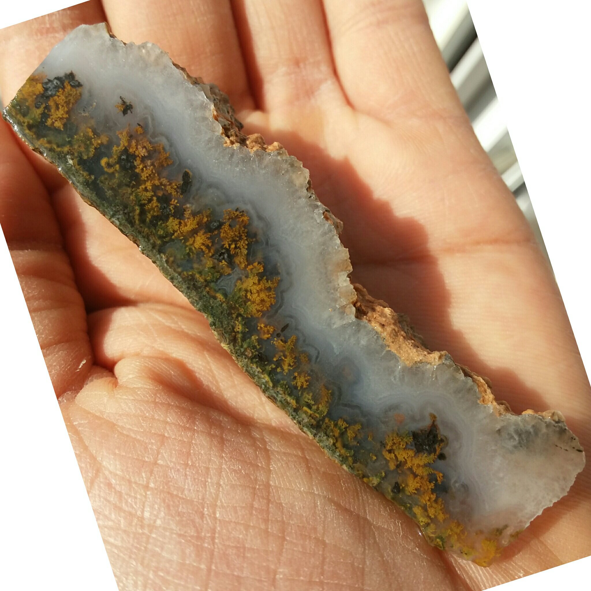 اسلایس سنگ راف عقیق شجر منظره بینهایت زیبا شاهکار خلقت 100 در 100 طبیعی