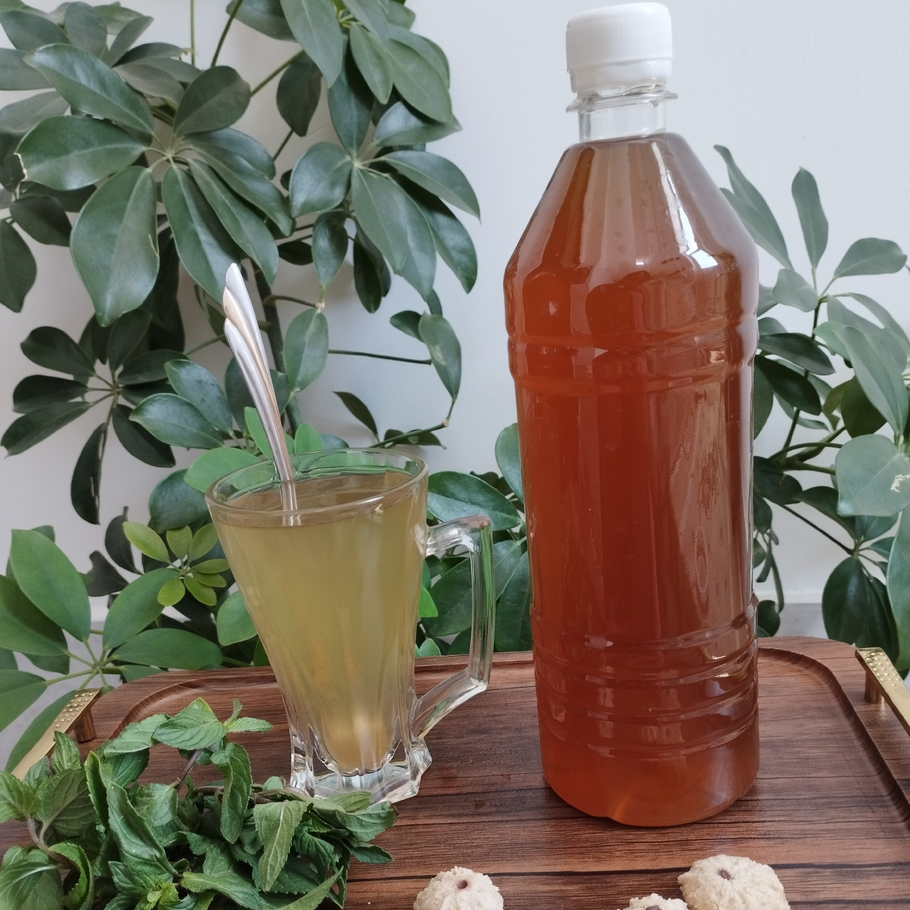 شربت سکنجبین کاملا طبیعی و ارگانیک 