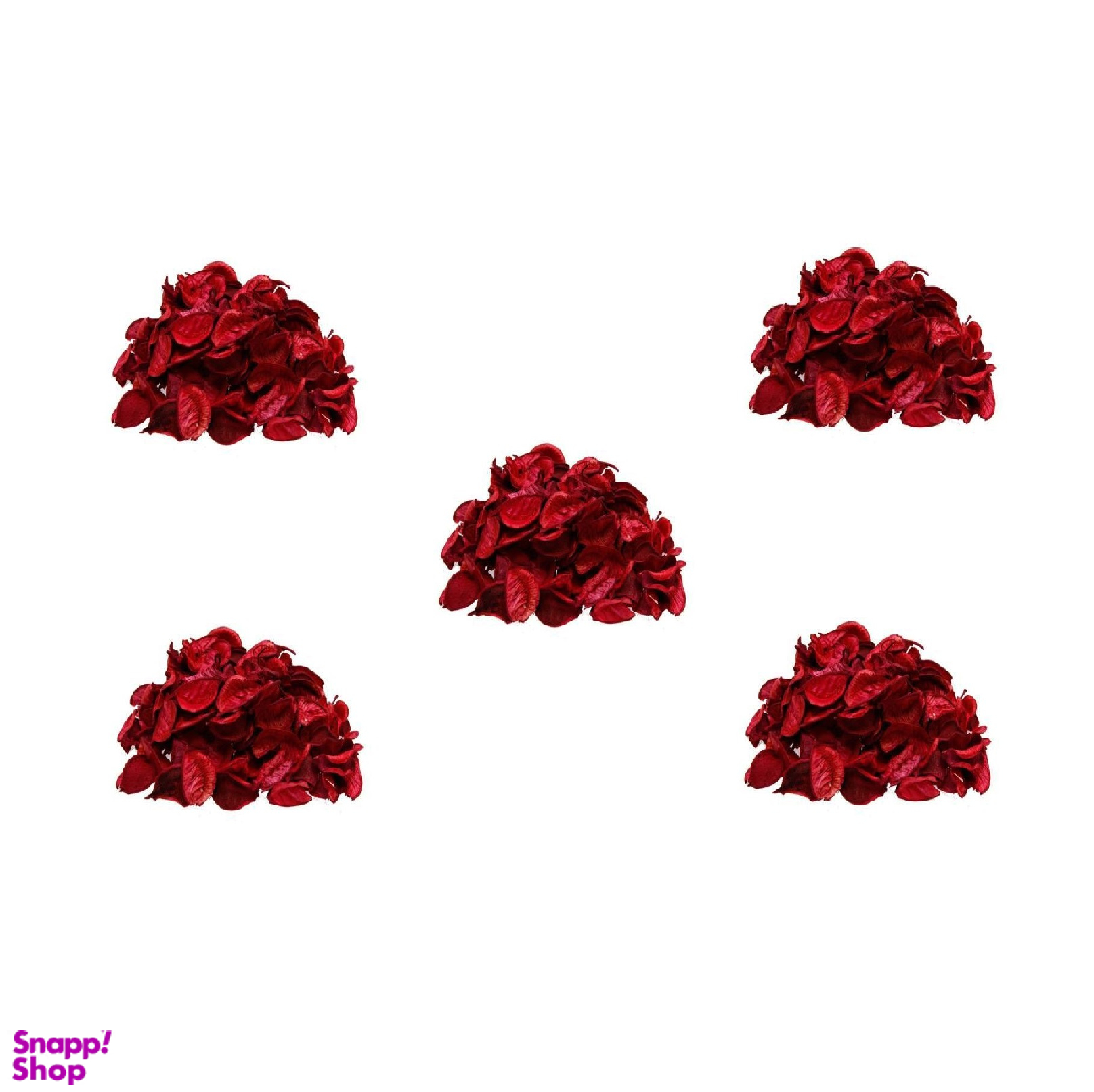 گل خشک کد 48 مجموعه 5 عددی رنگ قرمز مات