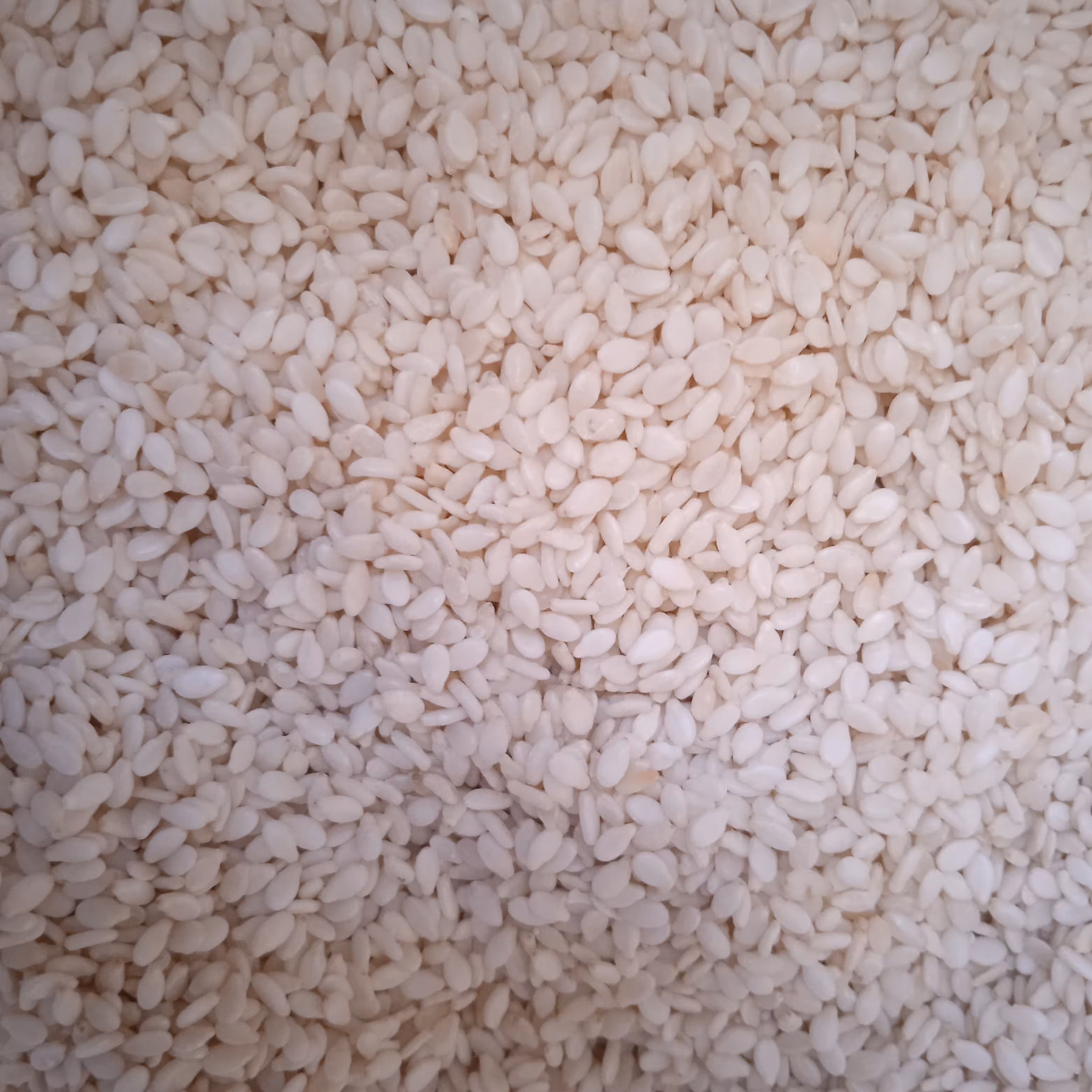 کنجد سفید تمیز