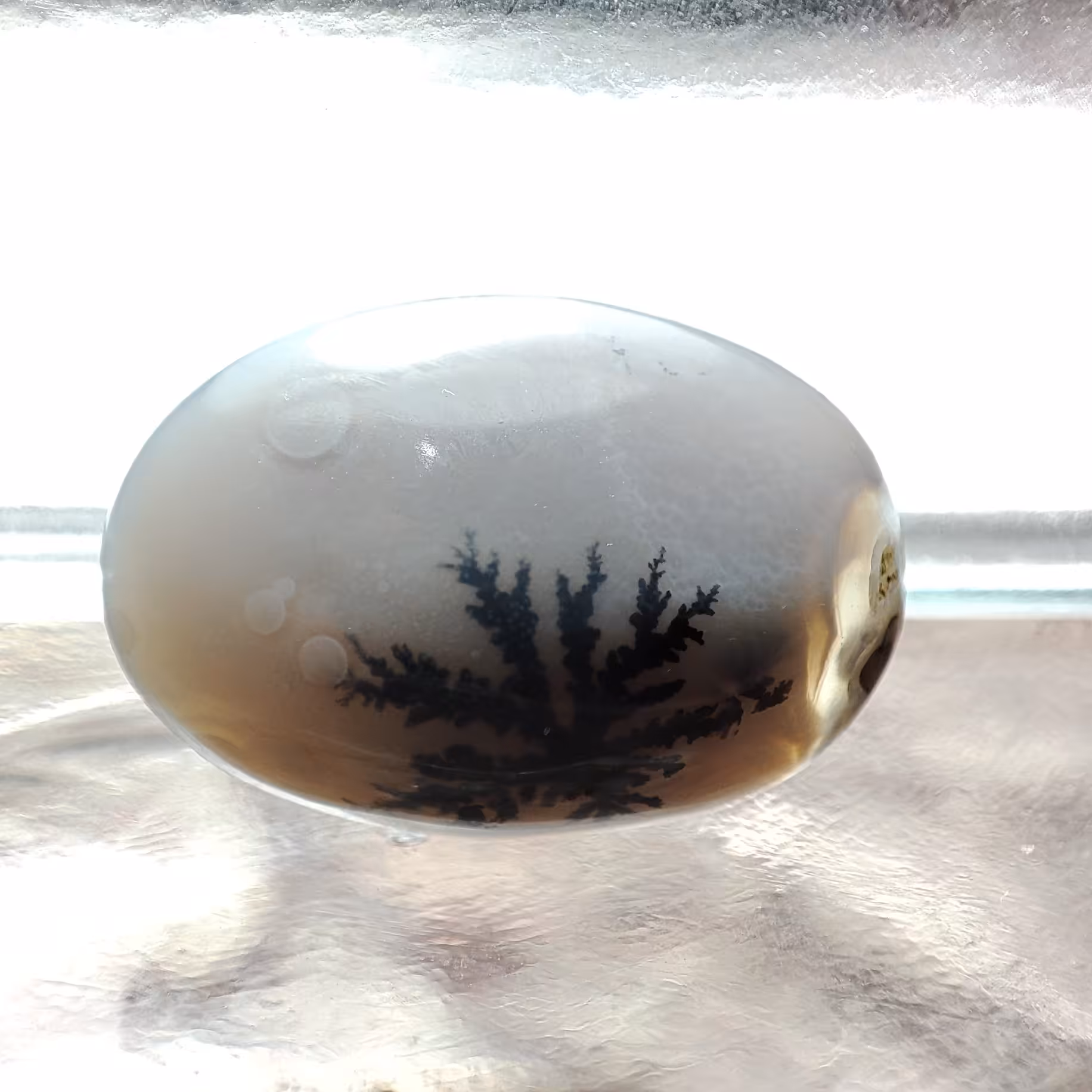 شجر قائن طبیعی و معدنی کد 586