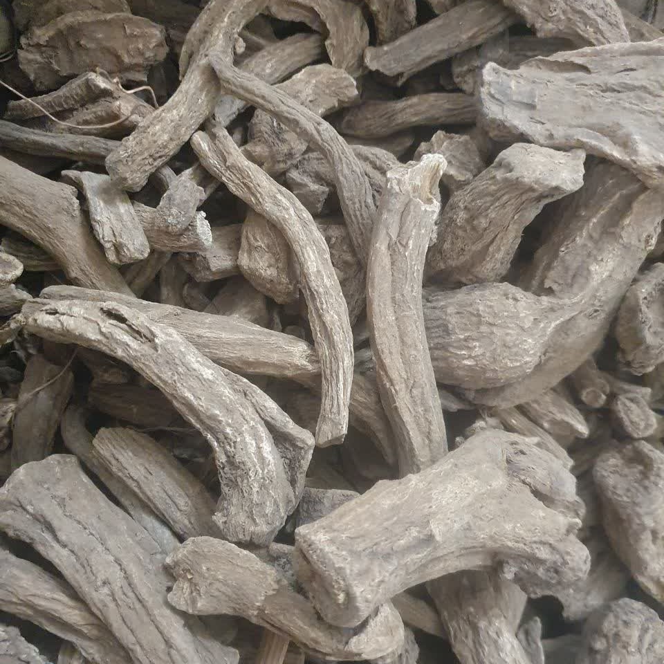 قسط تلخ 50 گرم