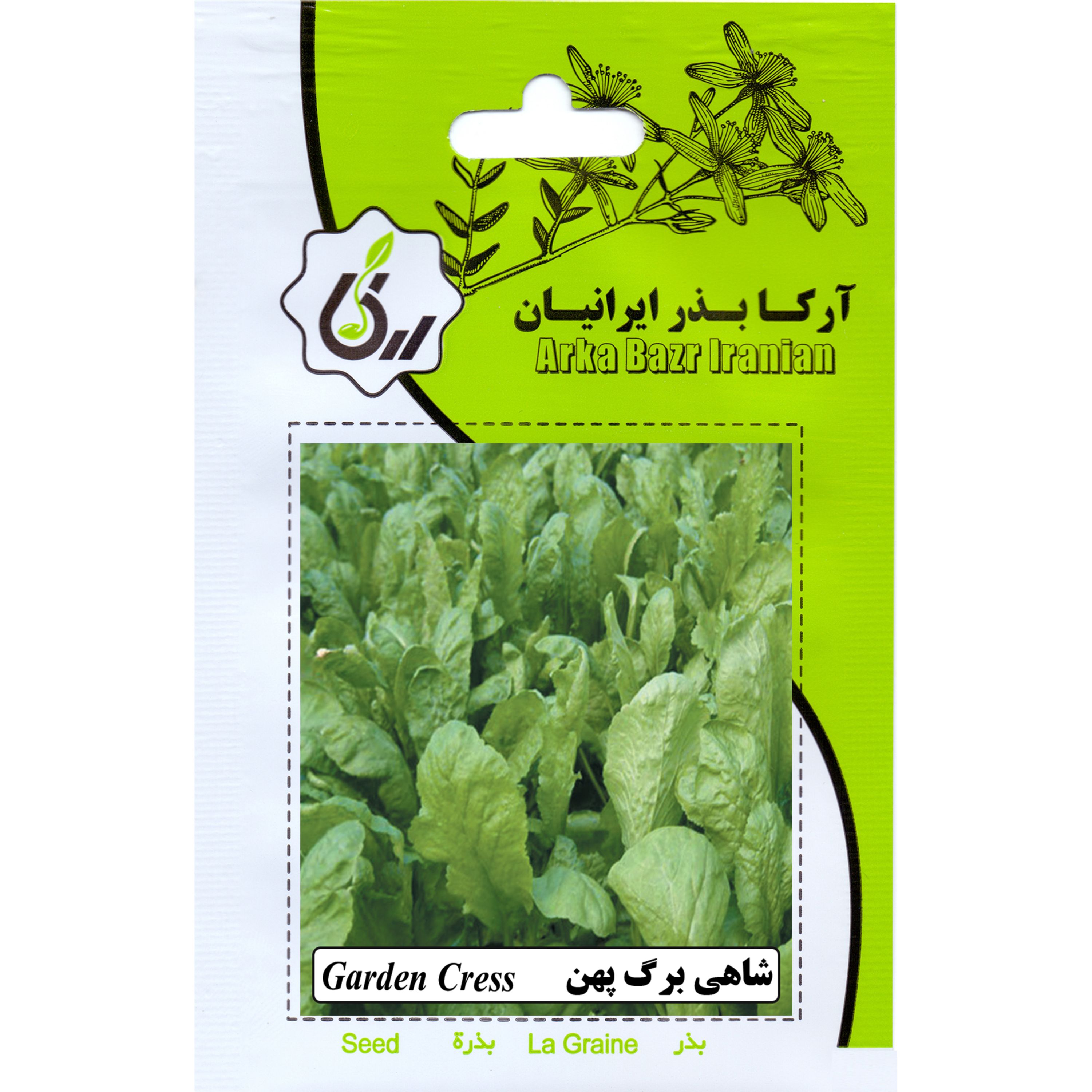 شاهی برگ پهن ارکا بذر ایرانیان