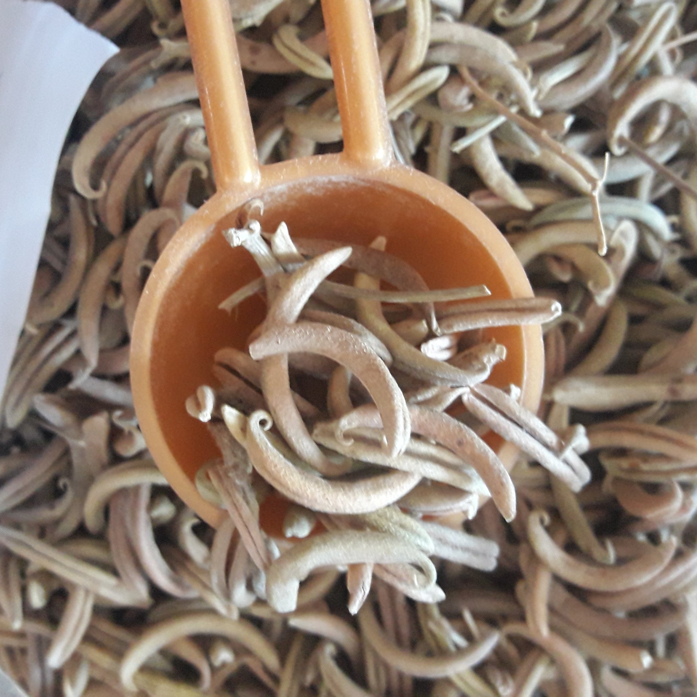 ناخنک یا اکلیل الملک خشک شده(بسته 100 گرمی)