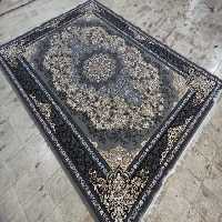 تندیس فیلی