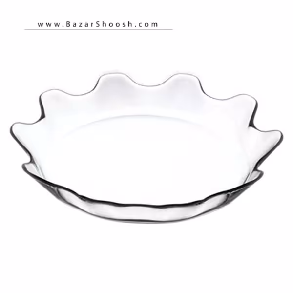 دیس اسپلش پاشاباغچه کد 10442