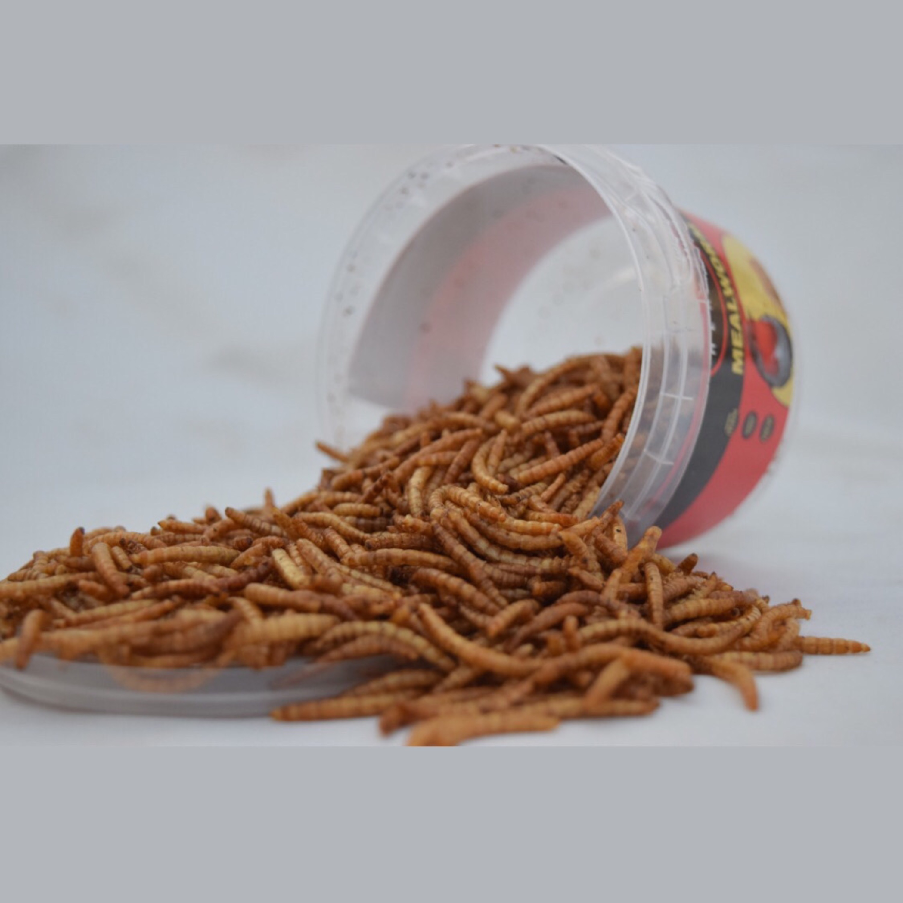 کرم میلورم شرکتی و کاملا بهداشتی و پلمپ مناسب طوطی سانان مرغ مینا و دیگر 