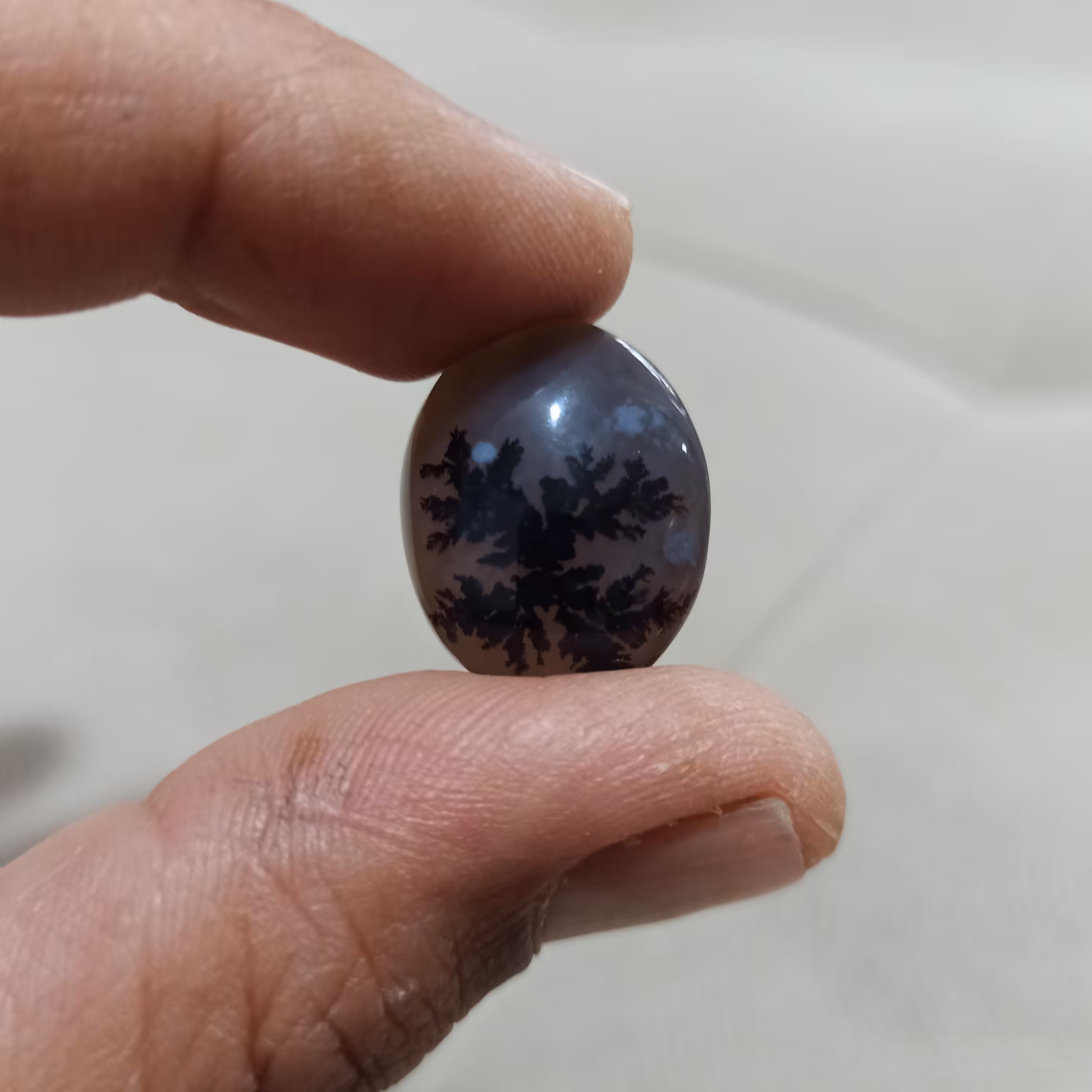 نگین شجر قاعن تک