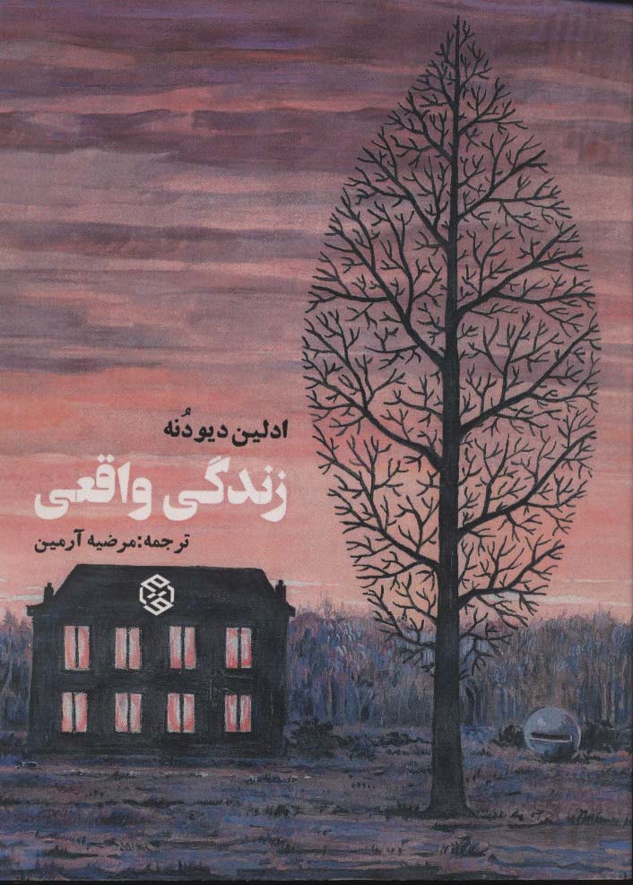 زندگی واقعی (فرانسه معاصر) - ناشربوک | خرید آنلاین کتاب