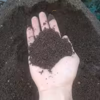 ورمی کمپوست