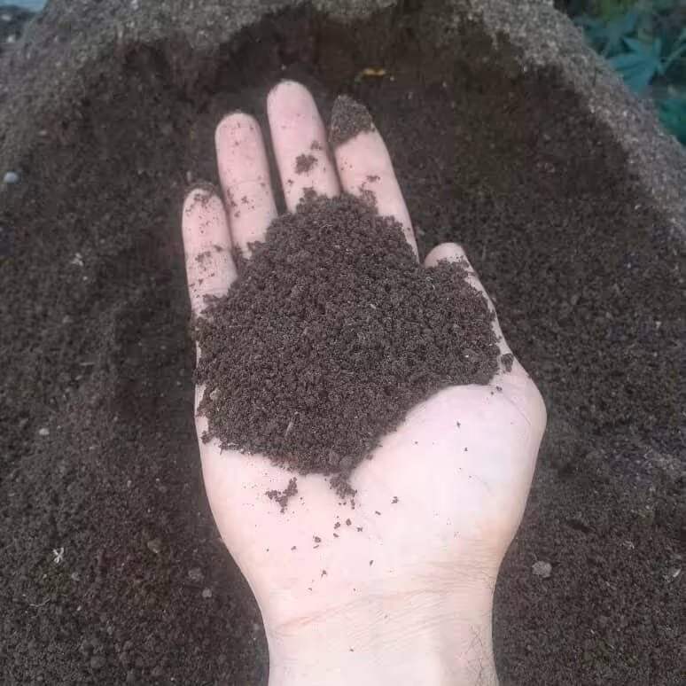 ورمی کمپوست