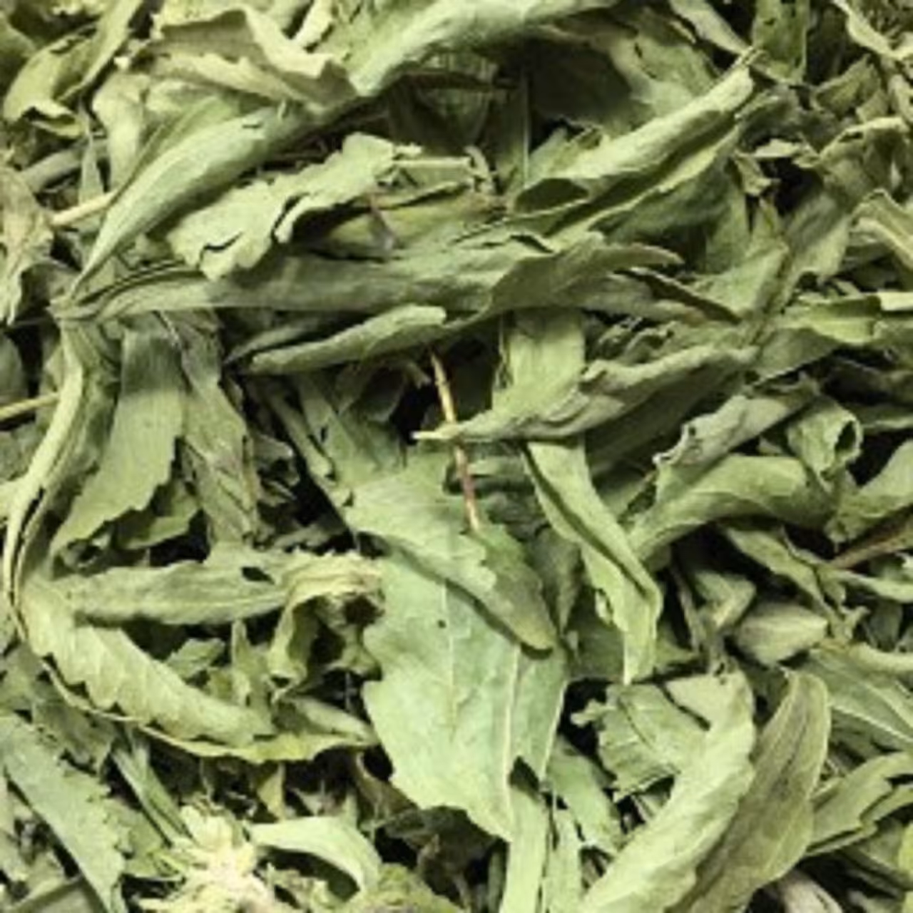 برگ خشک استویا 1000گرم 