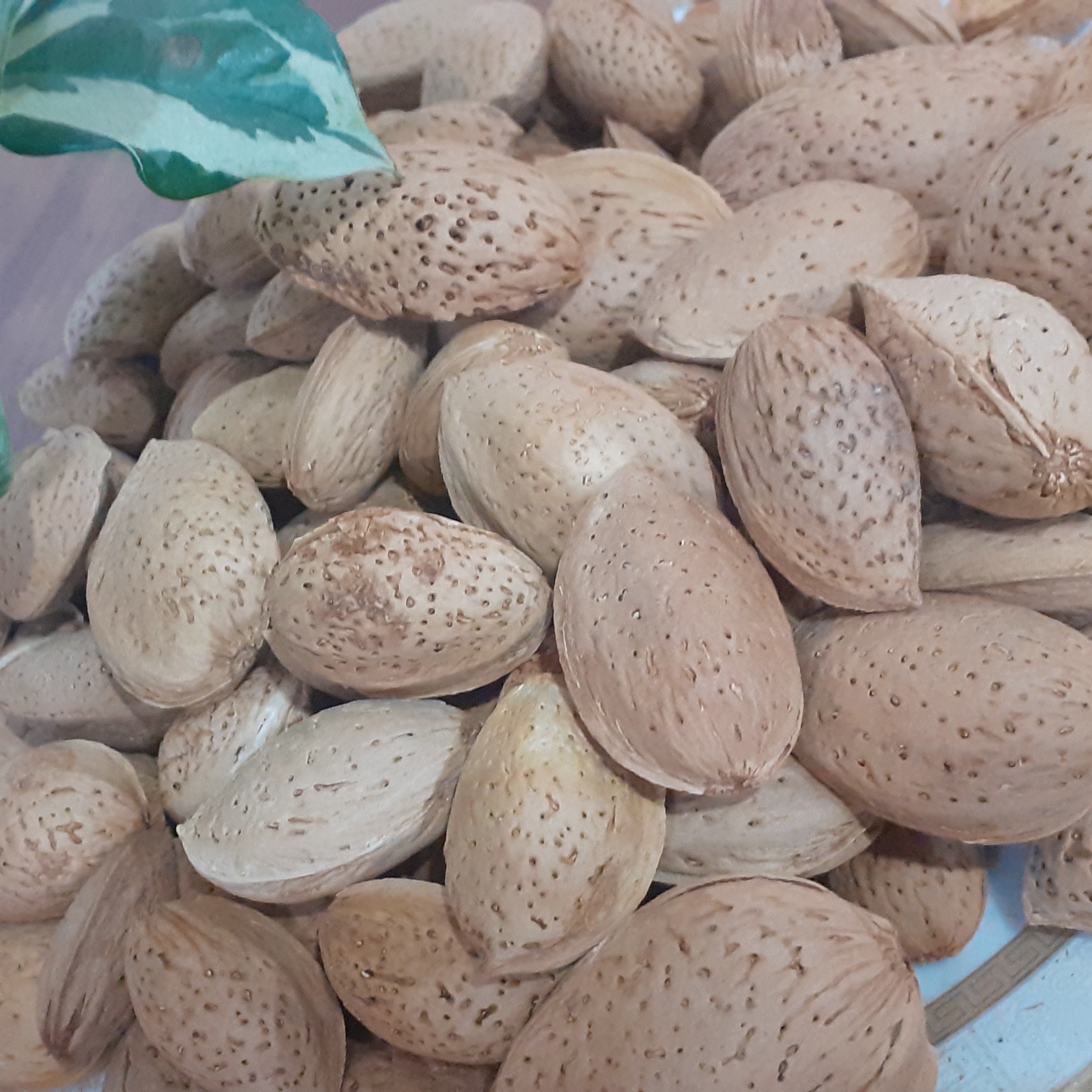 بادام درختی محصول لایزنگان پر مغز بدون پوچی بدون تلخی هر یک کیلو 300 گرم مغز دارد