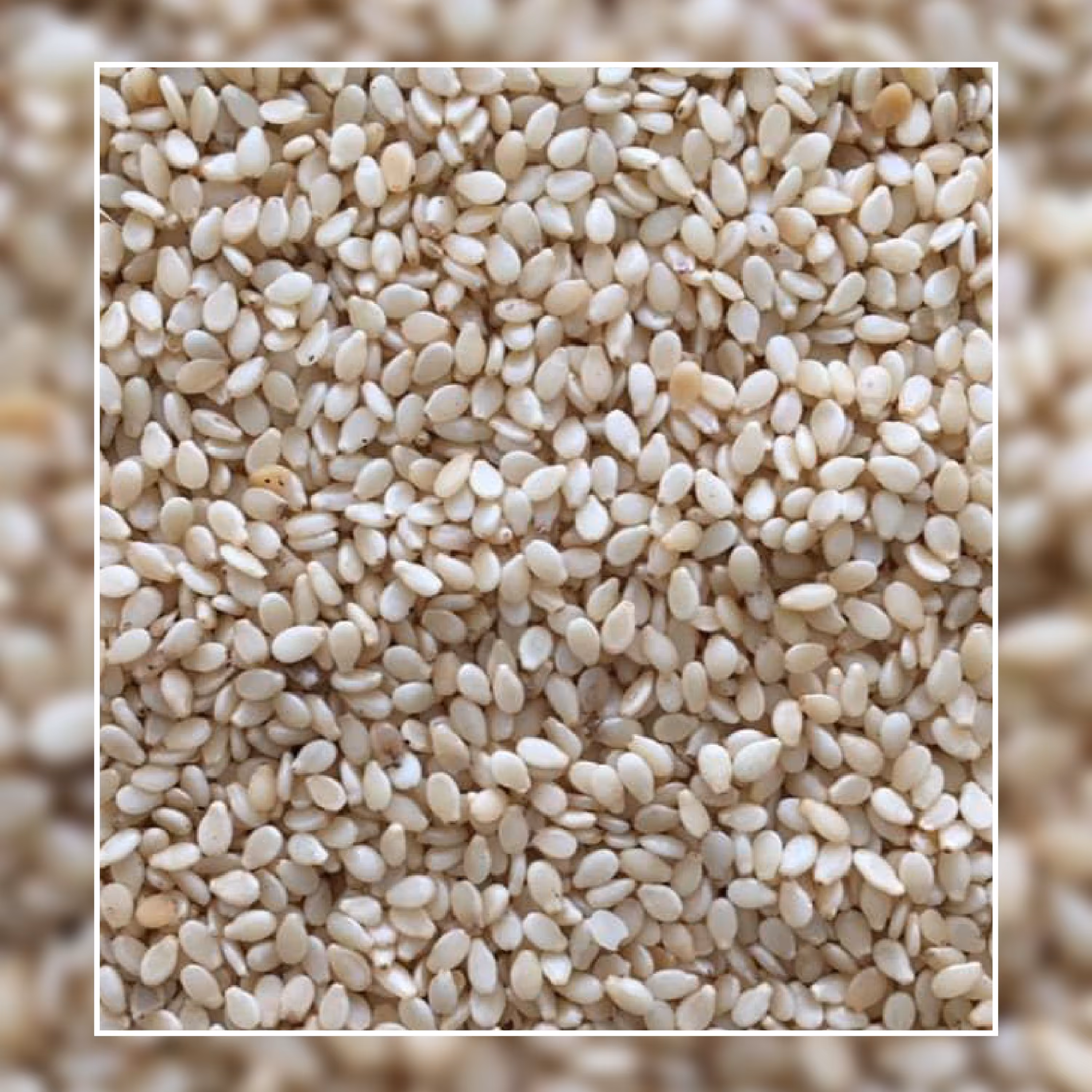 کنجد پوست کنده ممتاز بسته 250 گرمی 63