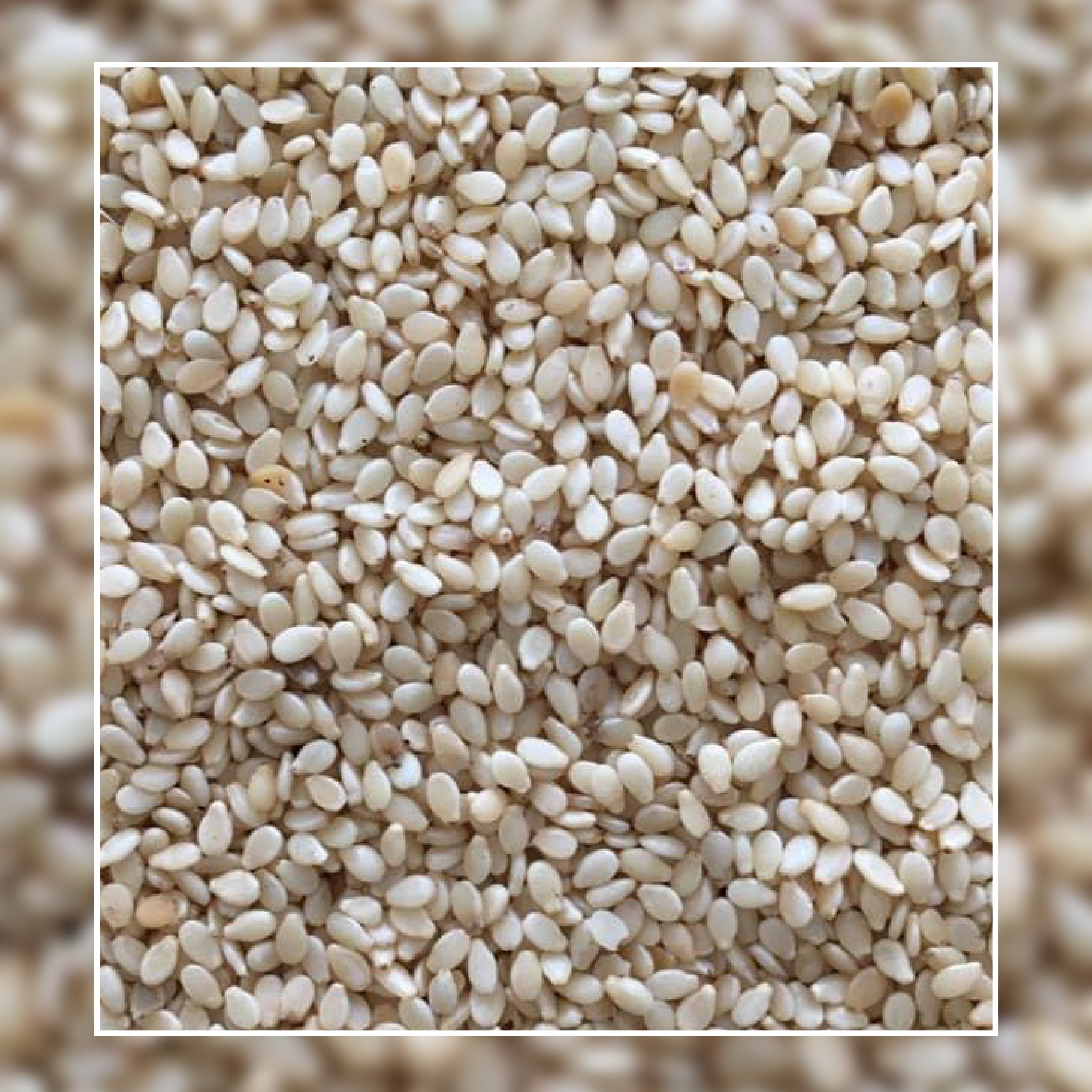 کنجد پوست کنده ممتاز بسته 250 گرمی 63