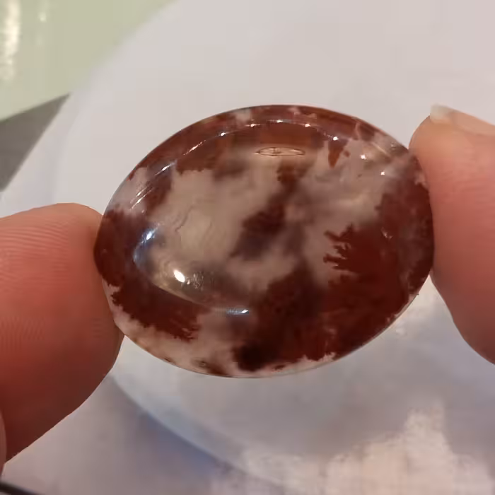 سنگ عقیق شجر سرخ