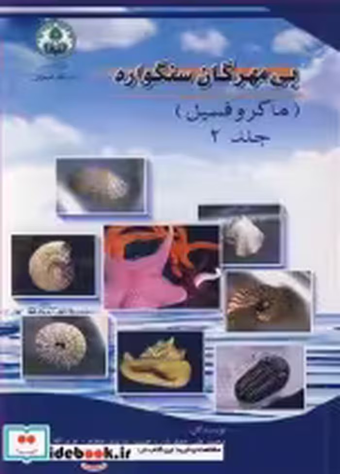 قیمت و خرید کتاب بی مهرگان سنگواره اثر محمدعلی جعفریان و حسین وزیری مقدم و عزیزا... طاهری | ایده بوک