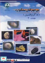 قیمت و خرید کتاب بی مهرگان سنگواره اثر محمدعلی جعفریان و حسین وزیری مقدم و عزیزا... طاهری | ایده بوک