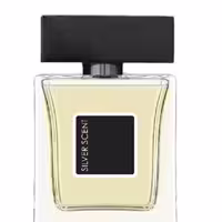 ادکلن مردانه نیو پرستیژ مدل سیلور سنت silver scent حجم 100میل