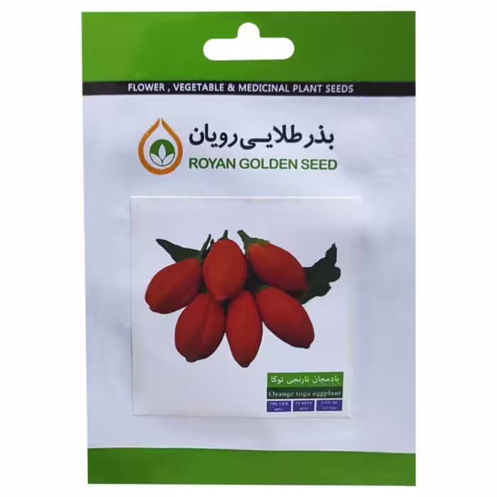 بذر بادمجان نارنجی توکا بذر طلایی رویان 