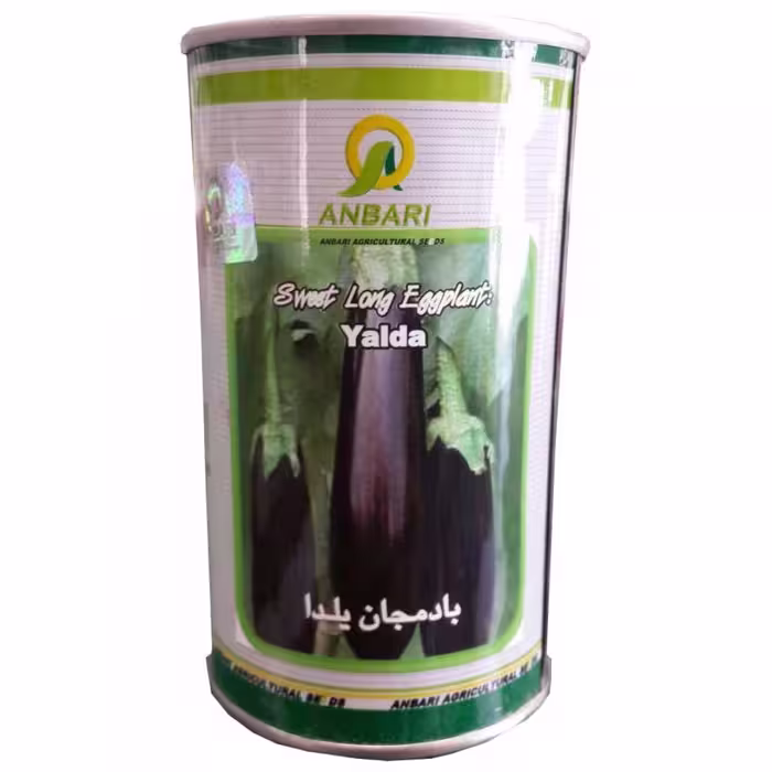 بذر بادمجان سیاه قلمی عنبری 100 گرمی