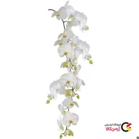 برچسب شیشه و کاشی کلین ولکه مدل Orchid