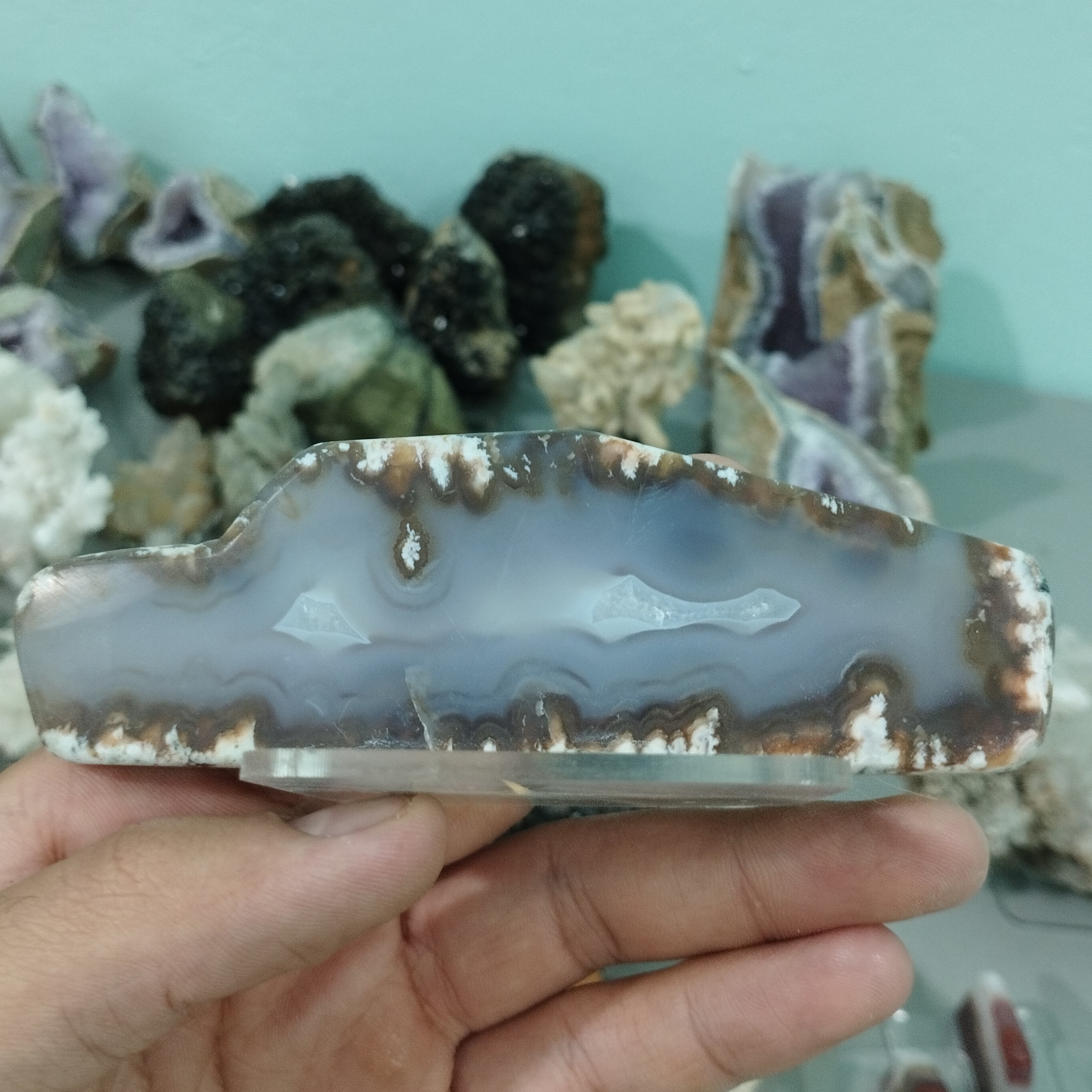 گوهر سنگ کلکسیونی شجر دستساز قد 4سانتیمتر پهنا 12سانتیمتر 