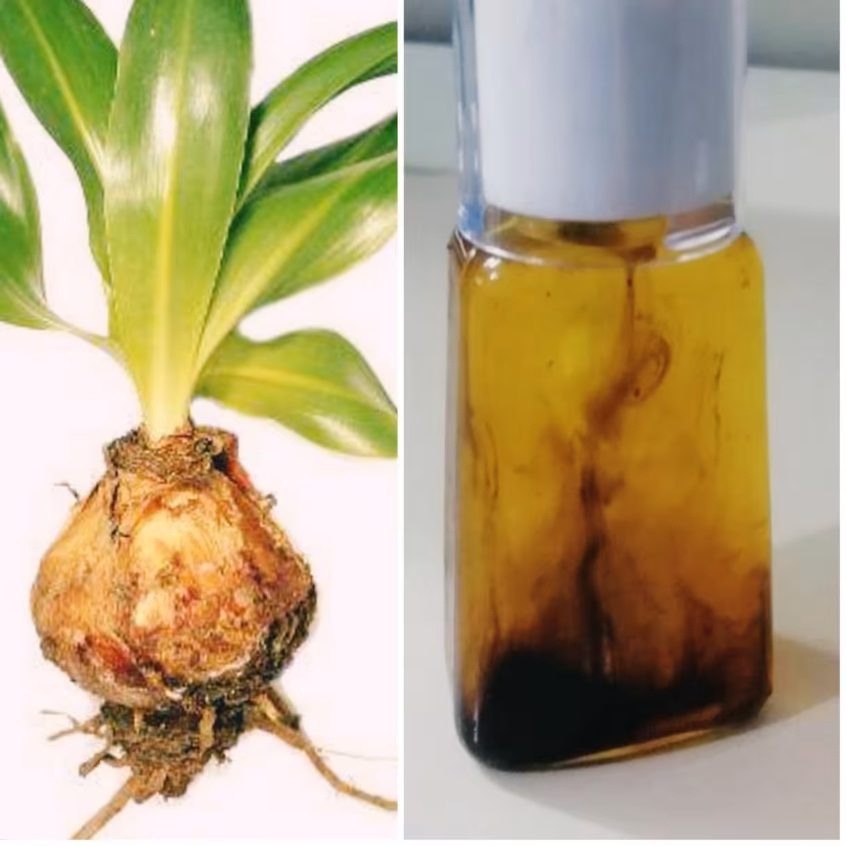 روغن کندوش مخصوص ابرو و مژه 