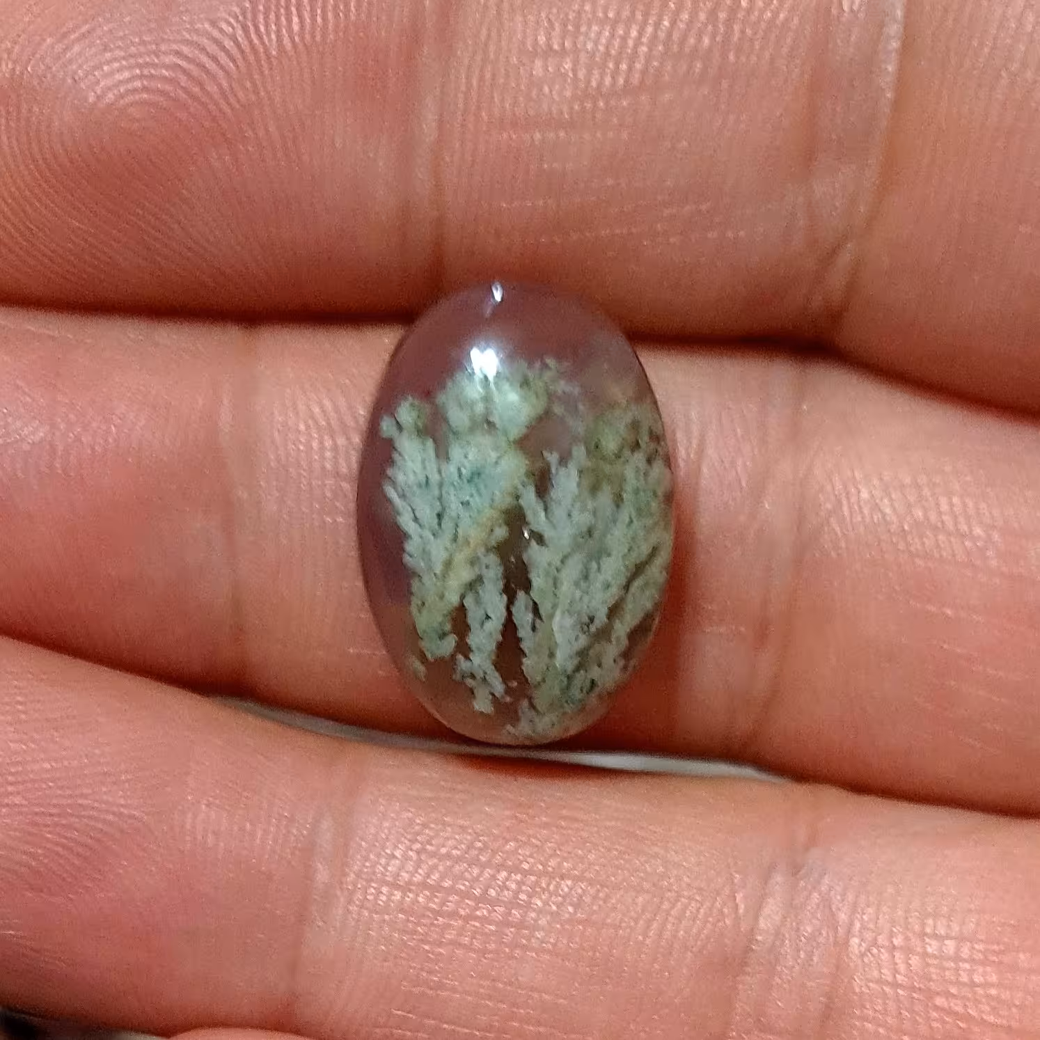 عقیق شجر معدنی بسیار زیبا