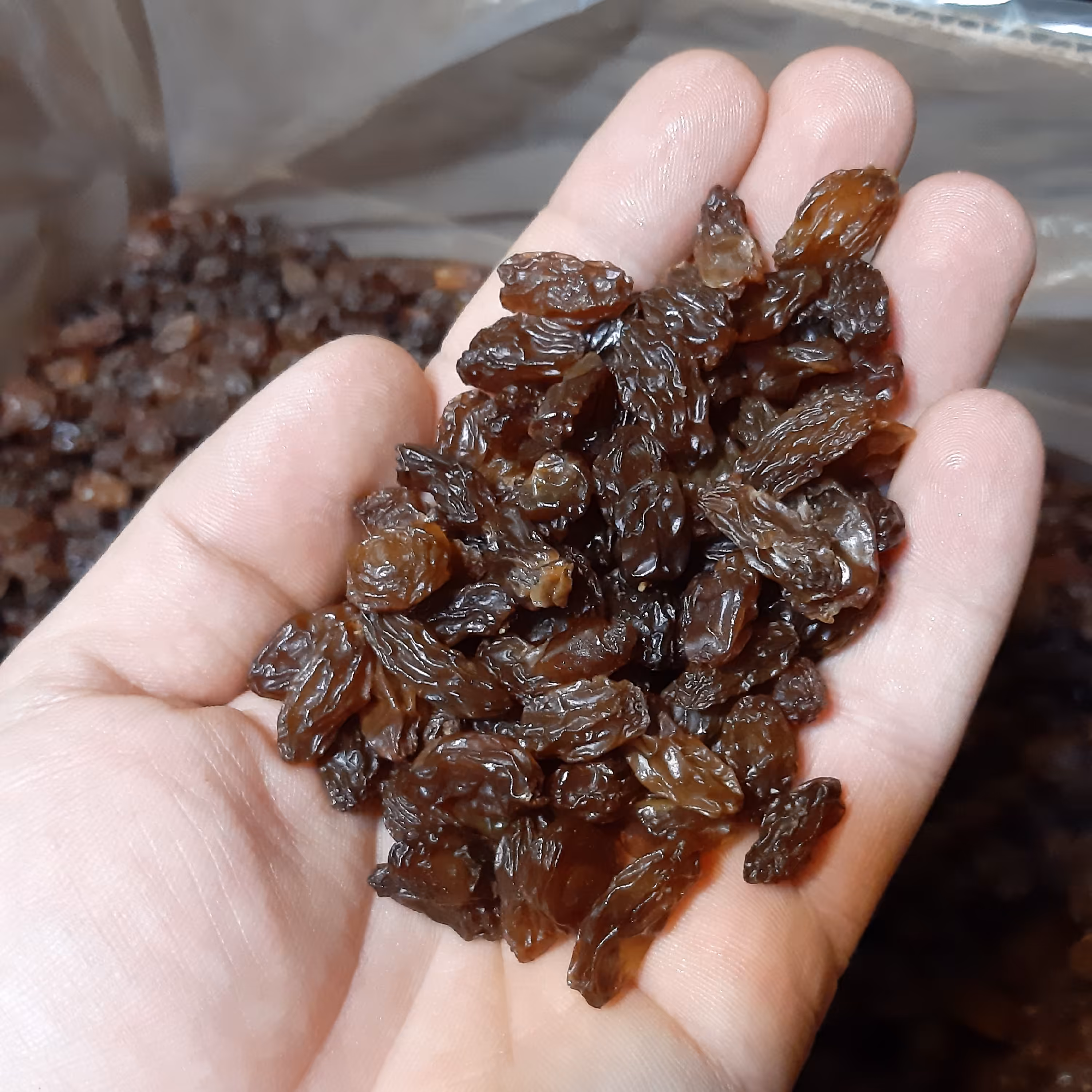 کشمش آفتابی بی دم کوهپایه ای(1000 گرمی)